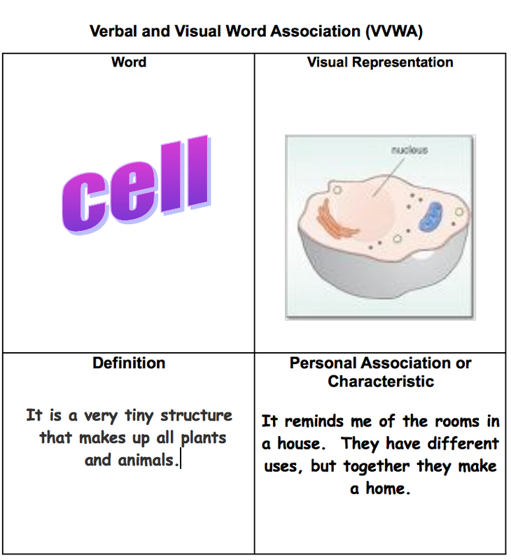 different word for visual representation