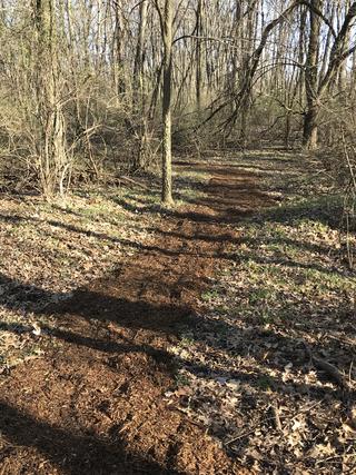 Wooden mulch trail leading to outdoor classroom.